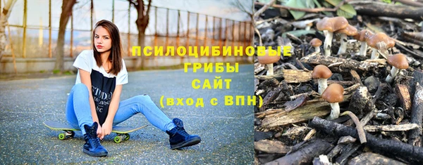 а пвп мука Алзамай
