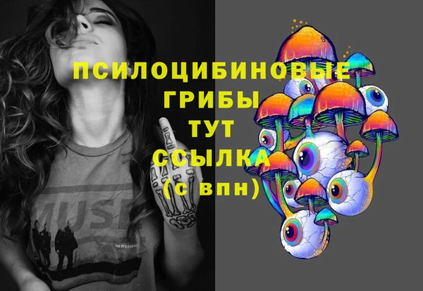 СК Алексеевка