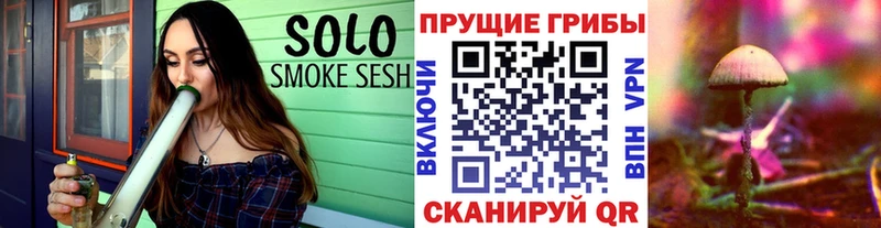 Псилоцибиновые грибы мицелий Нижний Новгород
