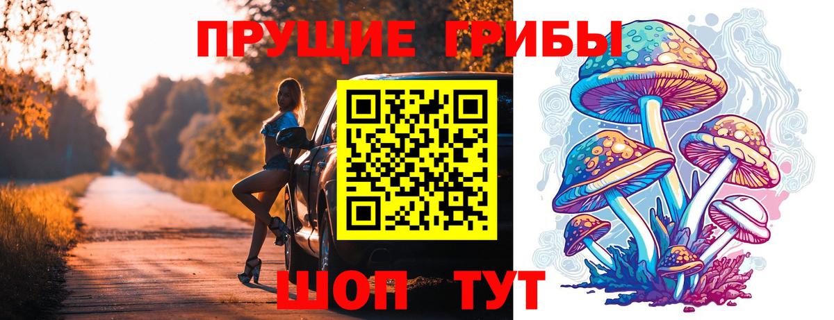Псилоцибиновые грибы прущие грибы Нижний Новгород